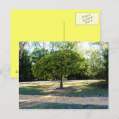 route en brique jaune 2 Carte postale (Devant / Derrière)