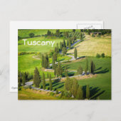 Route sinueuse bordée de Cypress, carte postale te (Devant / Derrière)