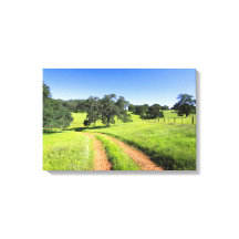Route vers le printemps, toile enveloppée