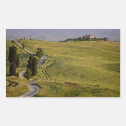 Route vers Terrapille en Toscane autocollant recta (Devant)