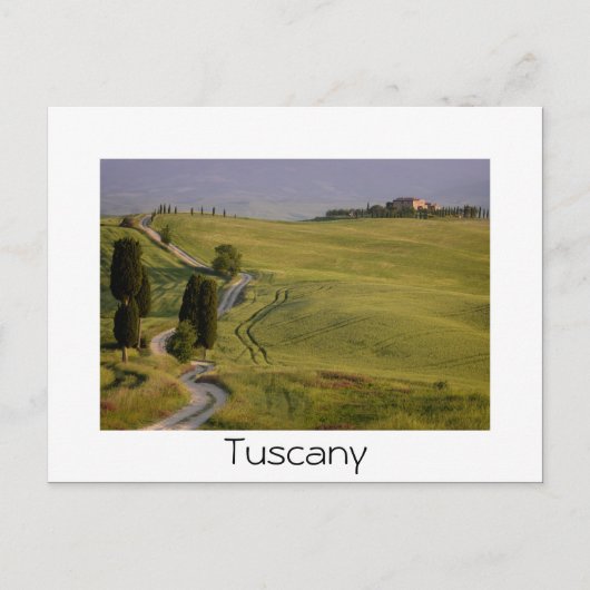 Route vers Terrapille en Toscane carte postale en (Devant)