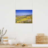 Routt National Forest in de herfstkleur, vlakbij Poster (Keuken)