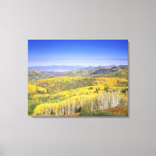 Routt National Forest in herfstkleuren, nabij Canvas Afdruk