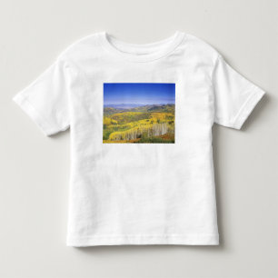 Routt National Forest in herfstkleuren, nabij Kinder Shirts