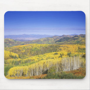Routt National Forest in herfstkleuren, nabij Muismat