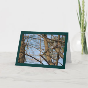 Rouwduif in wenskaart kaart