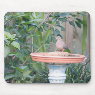 Rouwende duif bij Birdbath Muismat