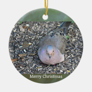 Rouwende Duif Foto Ornament