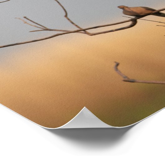 Rouwende duiven in Tree Poster (Hoek)