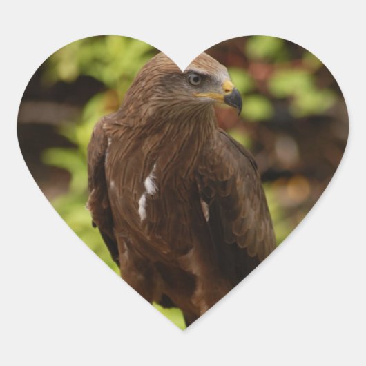 Rovogels Hart Sticker (Voorkant)