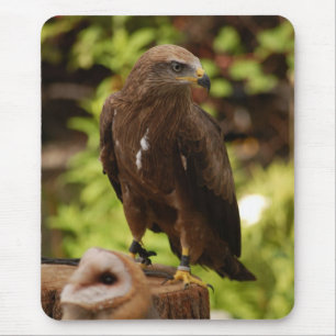 Rovogels Muismat