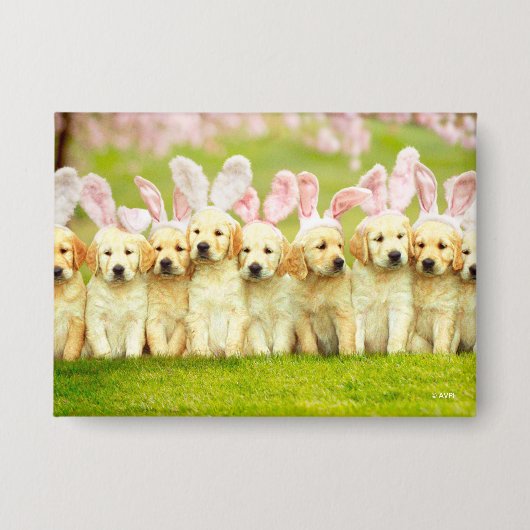 Row of Puppy Bunnies Button (Voorkant)