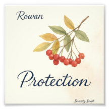 Rowan — Bescherming | Serenity Script Collectie