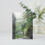 Rowan Tree Tilberthwaite Quarry-kaart Briefkaart (Staand voorkant)