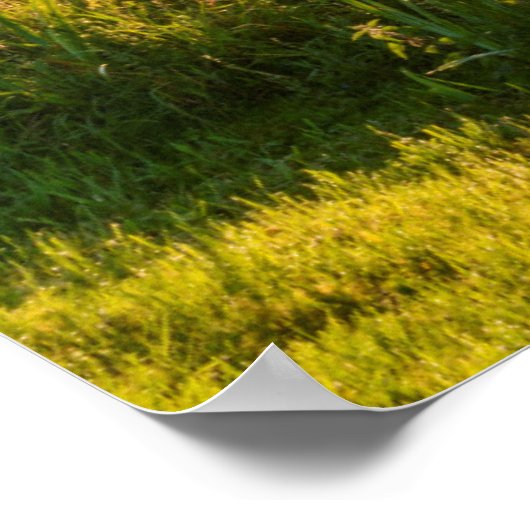 Rowboot Moored bij Lake Poster (Hoek)