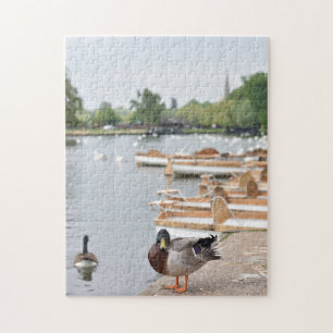 Rowboten en Duck, Stratford Upon Avon, Engeland Legpuzzel