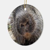 Rox 2016 keramisch ornament (Links)