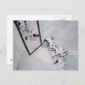 Roxie de Dalmatiaan Briefkaart (Voorkant / Achterkant)