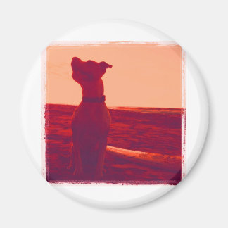 Roxy Foto door Daniela Magneet