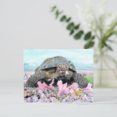 Roxy het Briefkaart van de schildpad (Staand voorkant)
