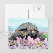Roxy het Briefkaart van de schildpad (Voorkant / Achterkant)