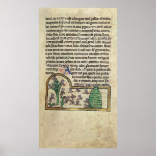 Roy Page of text met illustratie van Poster