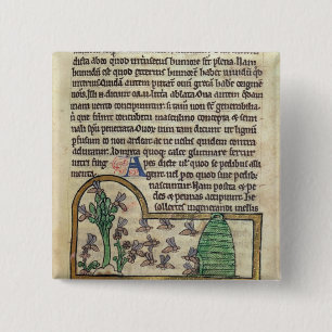 Roy Page of text met illustratie van Vierkante Button 5,1 Cm