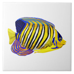 Royal Angelfish Tegeltje