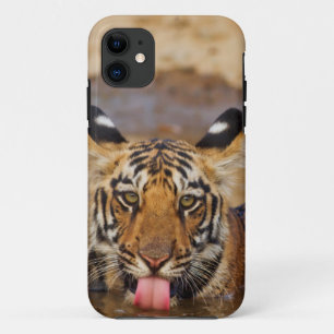 Royal Bengal Tiger cub, drinking water iPhone 11 Hoesje