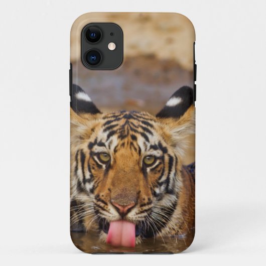 Royal Bengal Tiger cub, drinking water Case-Mate iPhone Case (Achterkant)