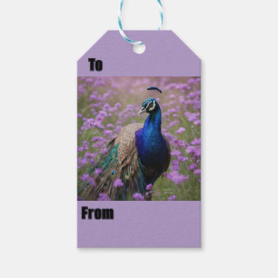 Royal Blue: blauwe pauw in lavendelveld, Cadeaulabel