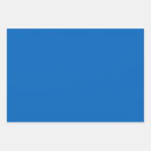 Royal Blue en White Cross Stitch Floral Inpakpapier Vel (Voorkant 3)