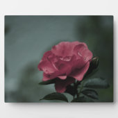 Royal Blush Plaque Fotoplaat (Voorkant)