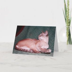 Royal Cat Birthday Kaart