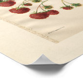 Royal Church Raspberry Print (Hoek)