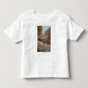 Royal Gorge, CO - Uitzicht van Train naast de rivi Kinder Shirts