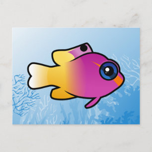 Royal Gramma Briefkaart