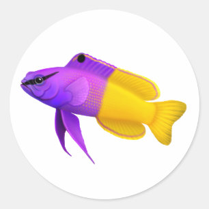  Royal Gramma Reef Fish Sticker