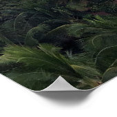 Royal Hawaiian Hotel Poster (Hoek)