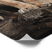 Royal Lioness Print (Hoek)