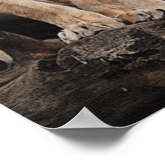 Royal Lioness Print (Hoek)