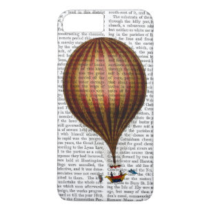 Royal Nassau-ballon Hot Air Ballon iPhone 8 Plus / 7 Plus Hoesje