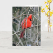 Royal Red Cardinal Wenskaart Kaart (Gele Bloem)