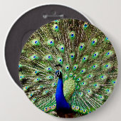 Royal Regency Peacock Ronde Button 6,0 Cm (Voorkant /achterkant)