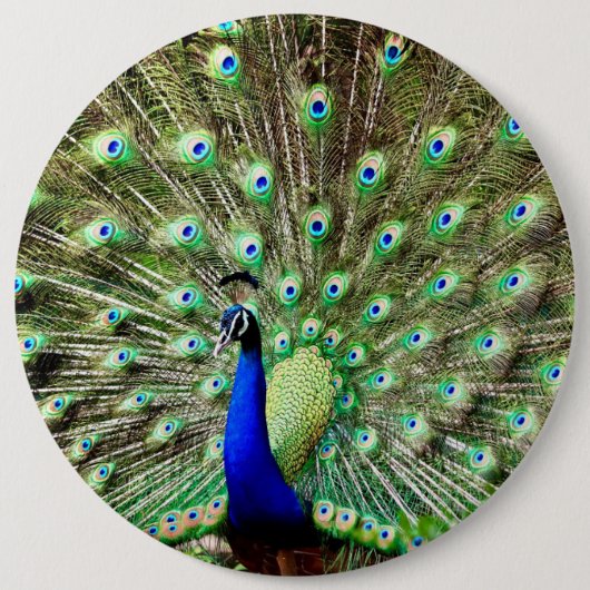 Royal Regency Peacock Ronde Button 6,0 Cm (Voorkant)
