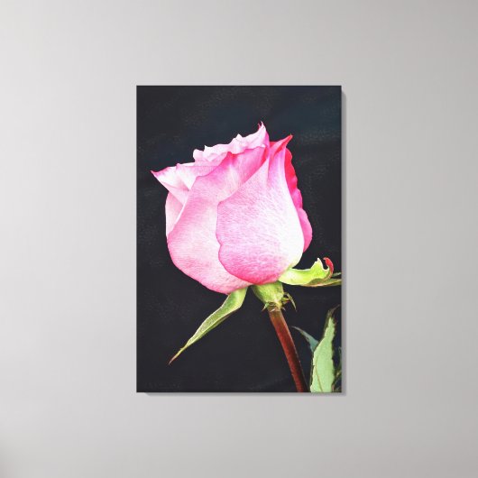 Royal Roos Canvas Kunst (Voorkant)