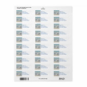 Royal Tern Seabird Return Address Etiket (Full Sheet)