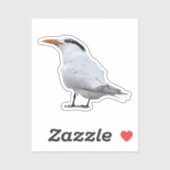 Royal Tern Sticker (Vel)