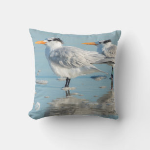 Royal Terns op strand Kussen