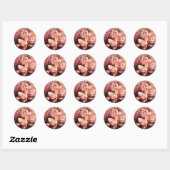 Roze 2 ronde sticker (Vel)